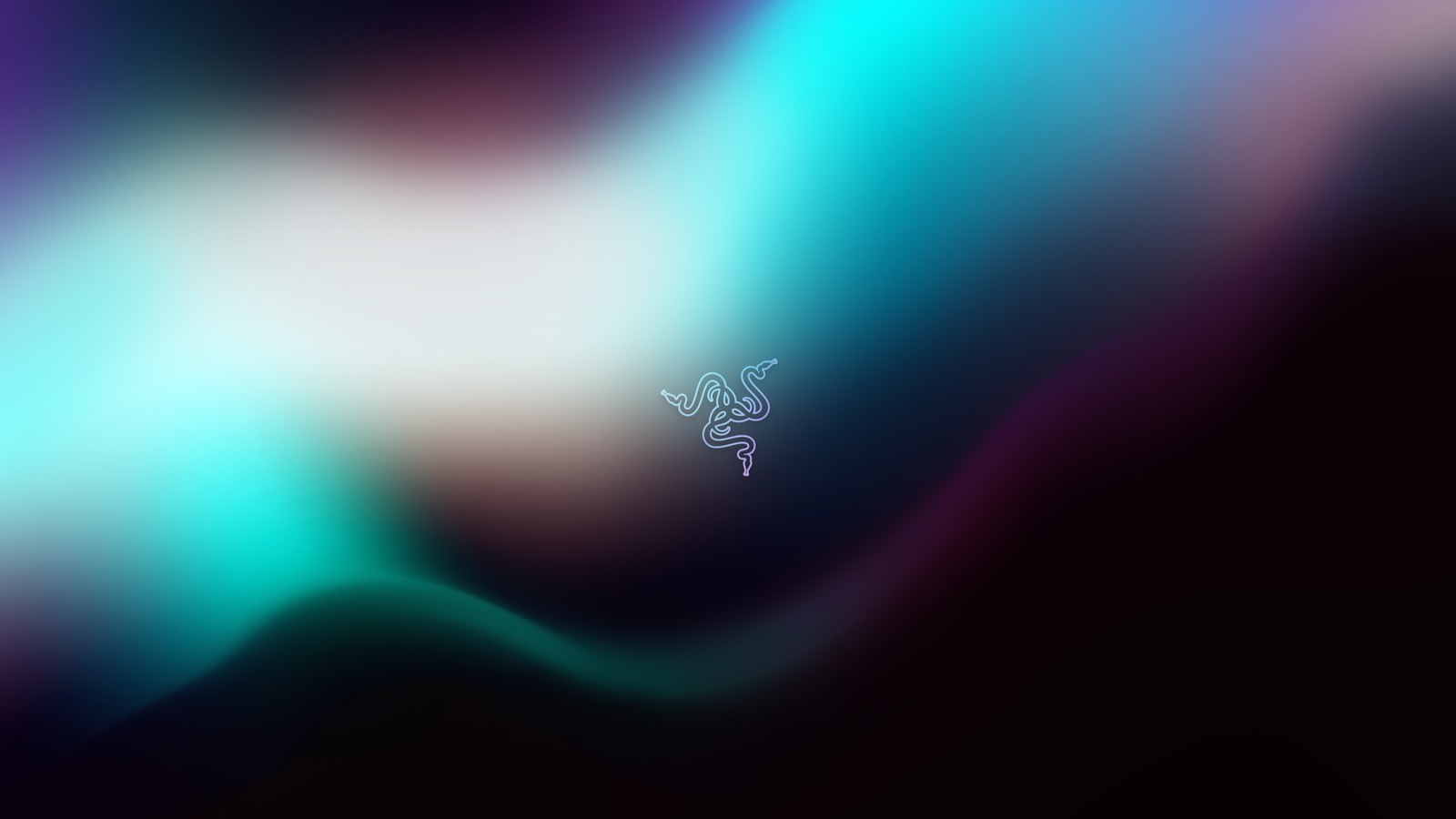 Fundo desfocado com uma flor branca no centro (fundo gradiente, razer, fluxo, abstrato, papel de parede 4k)