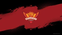 sunrisers hyderabad, индийская премьер лига, indian premier league, ipl, ипл 2021