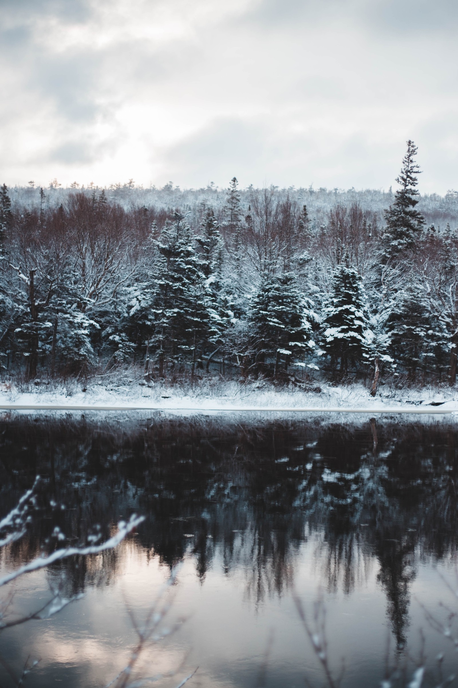 Árvores cobertas de neve refletidas em um lago em uma área arborizada (tanque, congelamento, paisagem natural, corpo de água, abeto)