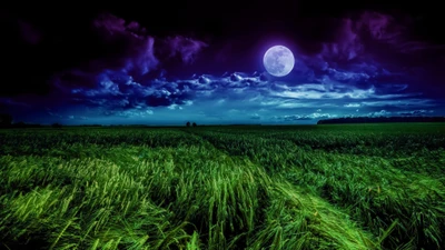 Serene Night Landscape Under a Full Moon