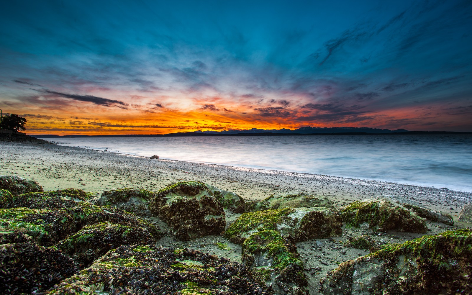 Um pôr do sol sobre o oceano com pedras e pedras cobertas de musgo (alki beach, west seattle, washington, paisagem marinha, laranja do pôr do sol)