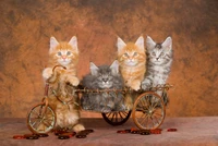 Vier niedliche Kätzchen, darunter eine flauschige graue Tabby und zwei orangefarbene Tabby, sitzen in einem kleinen Vintage-Wagen vor einem warmen, strukturierten Hintergrund und zeigen ihre verspielten Ausdrücke und charmanten Schnurrhaare.