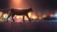 black cat, raining, art wallpaper