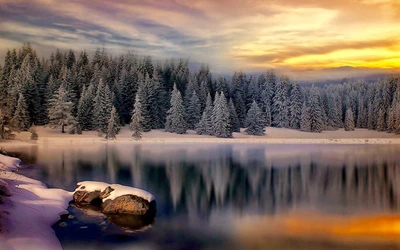 Reflexões tranquilas de uma manhã de inverno sobre um lago coberto de neve