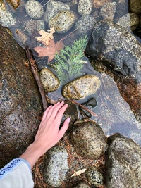 Mão alcançando em direção ao leito de água fluente entre pedras e vegetação