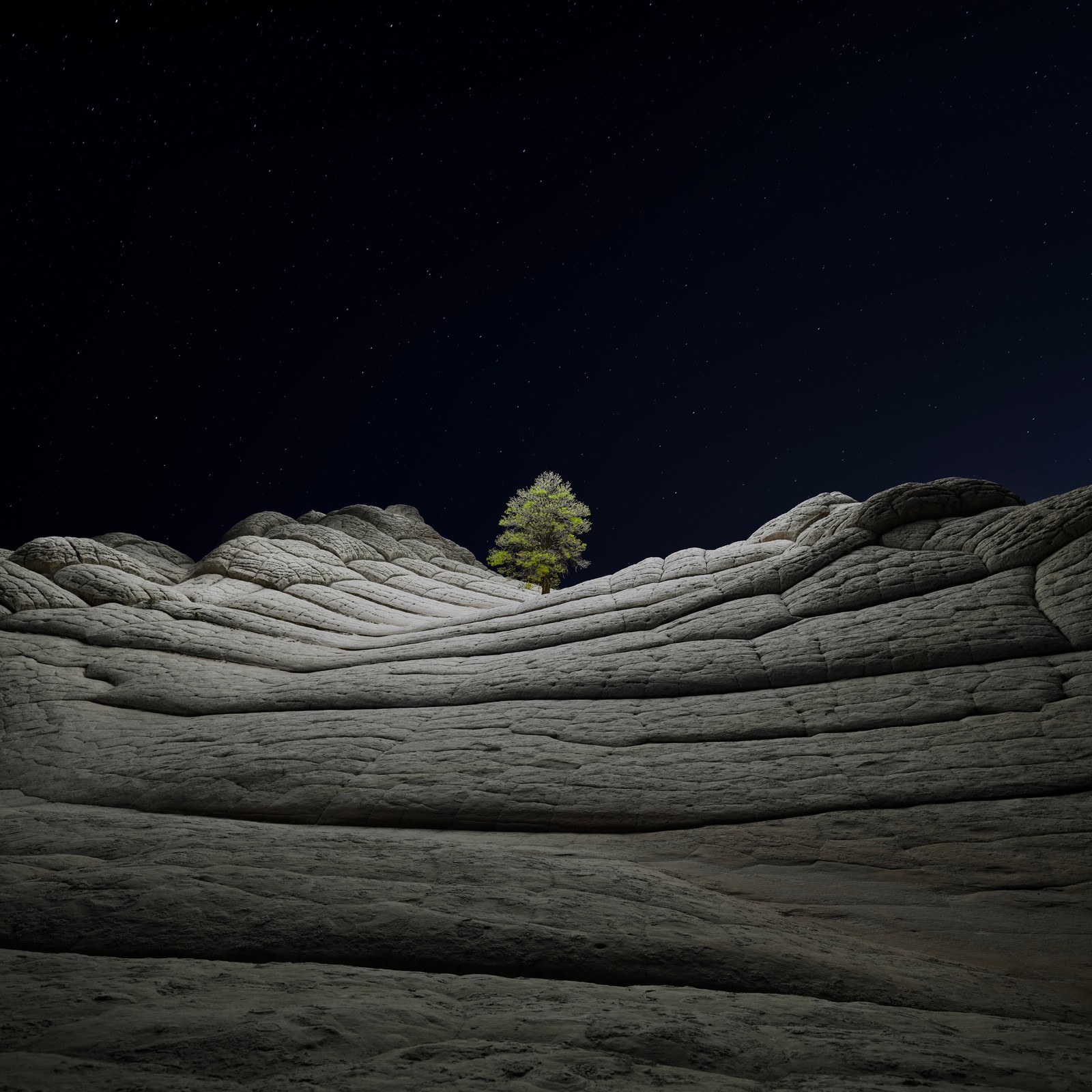 Formation rocheuse arabe avec un arbre solitaire au milieu (macos big sur, esthétique sombre, action, nuit, arbre solitaire)