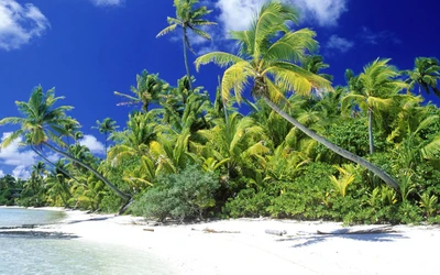 Oásis de praia tropical cercado por palmeiras exuberantes e vegetação vibrante