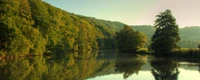 Reflexão serena da exuberante natureza em um curso d'água tranquilo