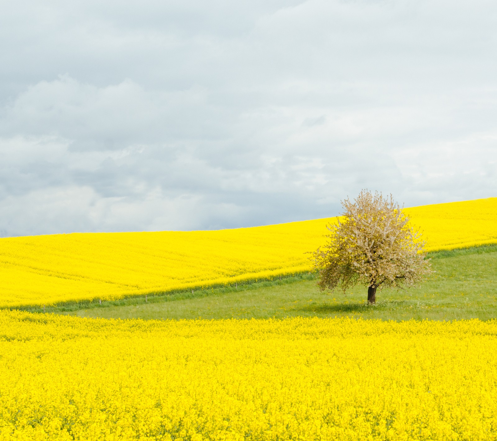 Скачать обои природа, загрузить, вдохновлять