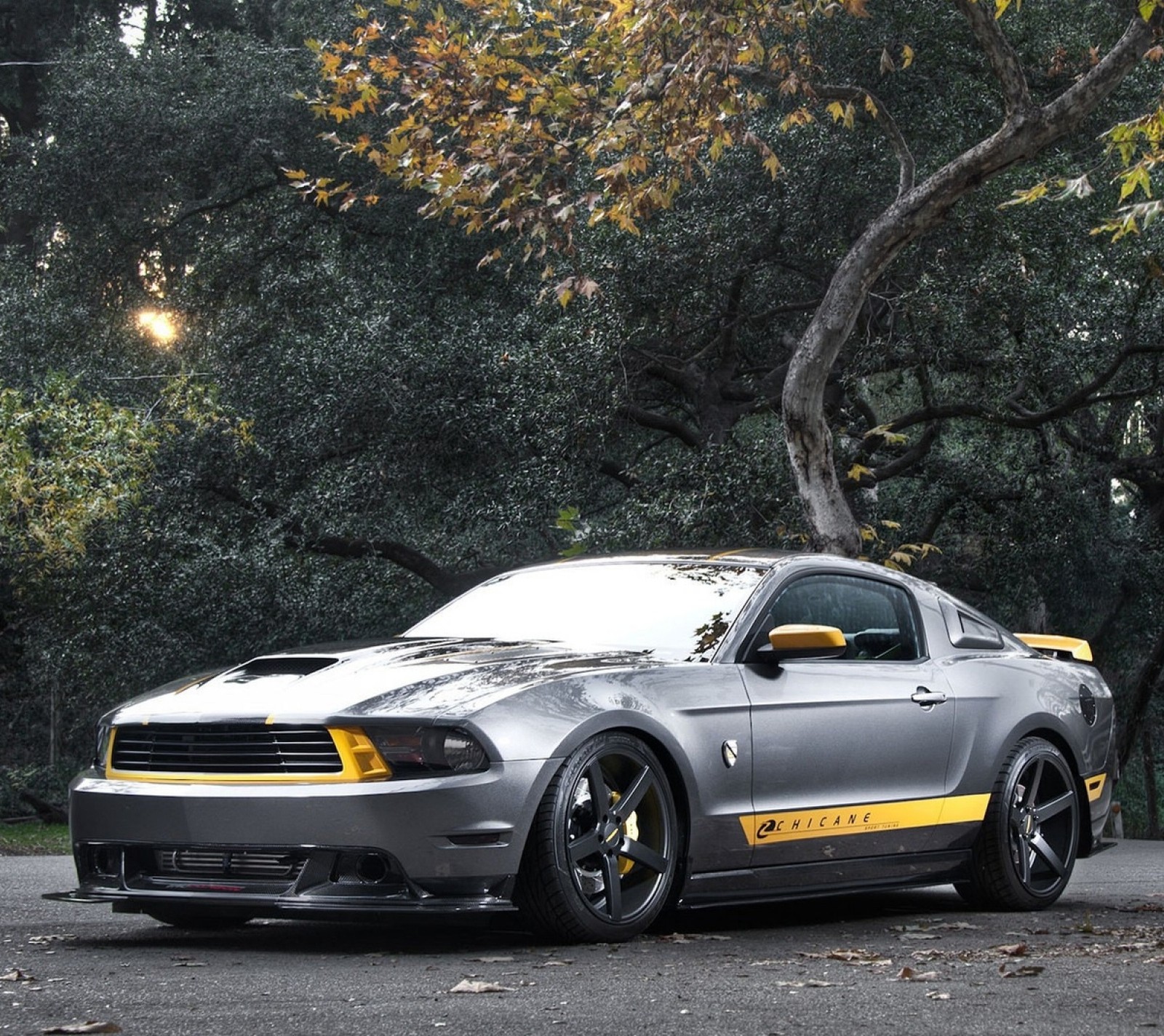 A close up of a car parked on a road near trees (ford, mustang)