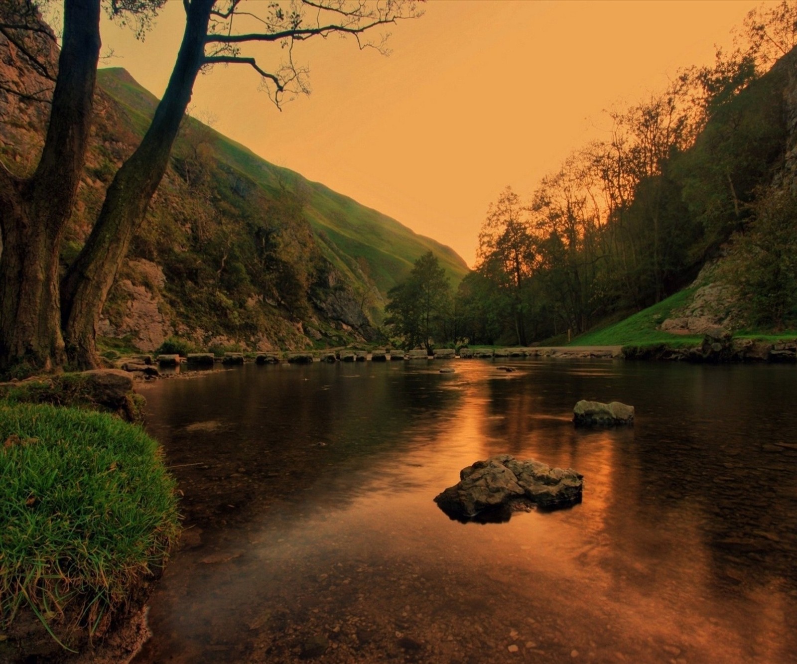 There is a river with rocks in it and a tree in the middle (beauty, lake)