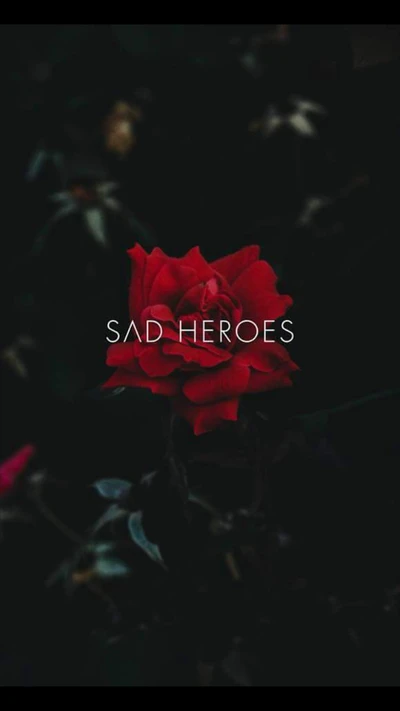 Sad Heroes: A solitary red rose amidst darkness, symbolizing love and melancholy.