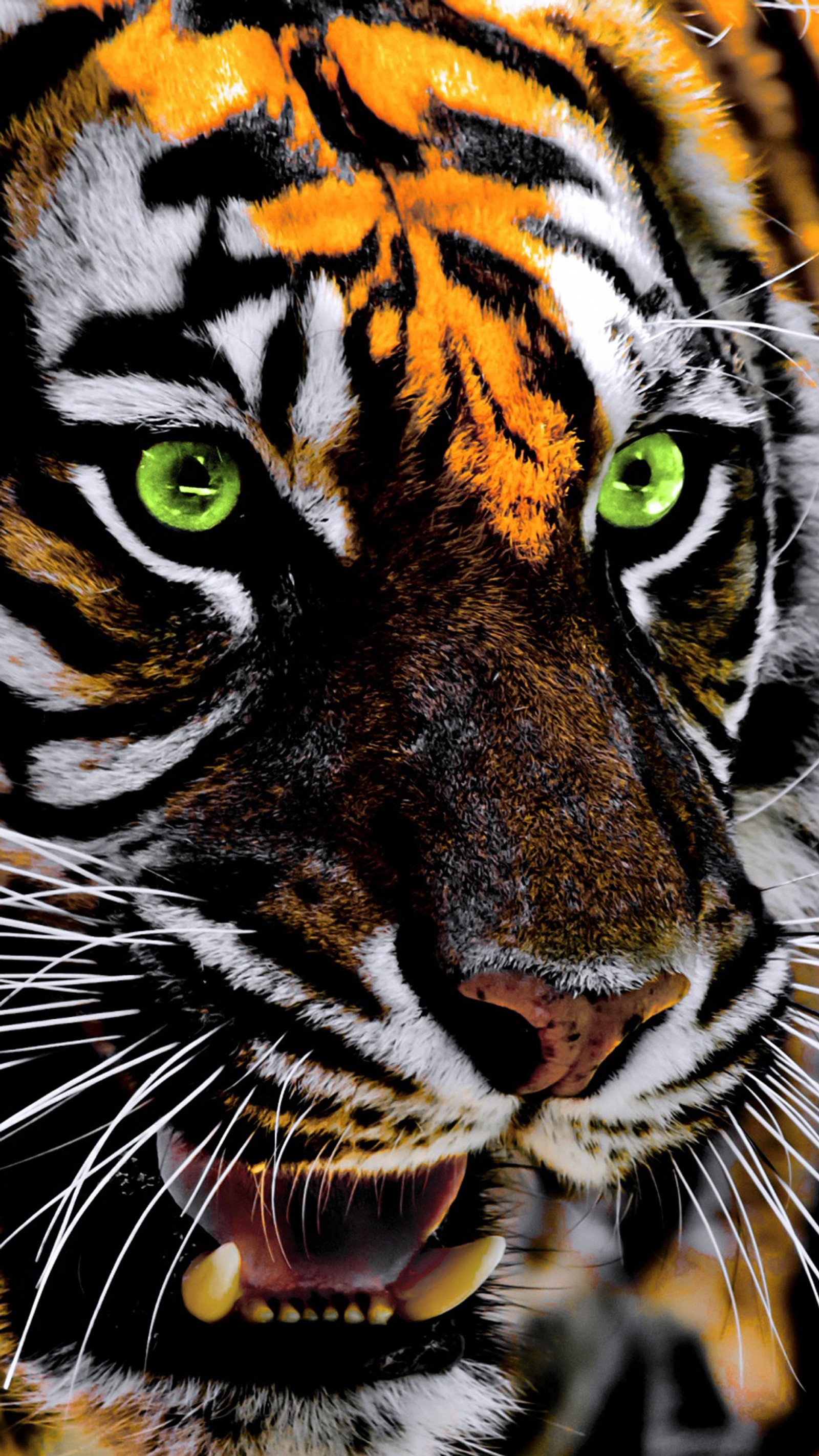 Hay un tigre con ojos verdes y un fondo negro (animal, ojos, verde, tigre)