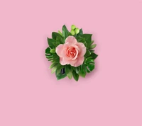 Delicate Pink Flower Surrounded by Lush Greenery on a Soft Pink Background