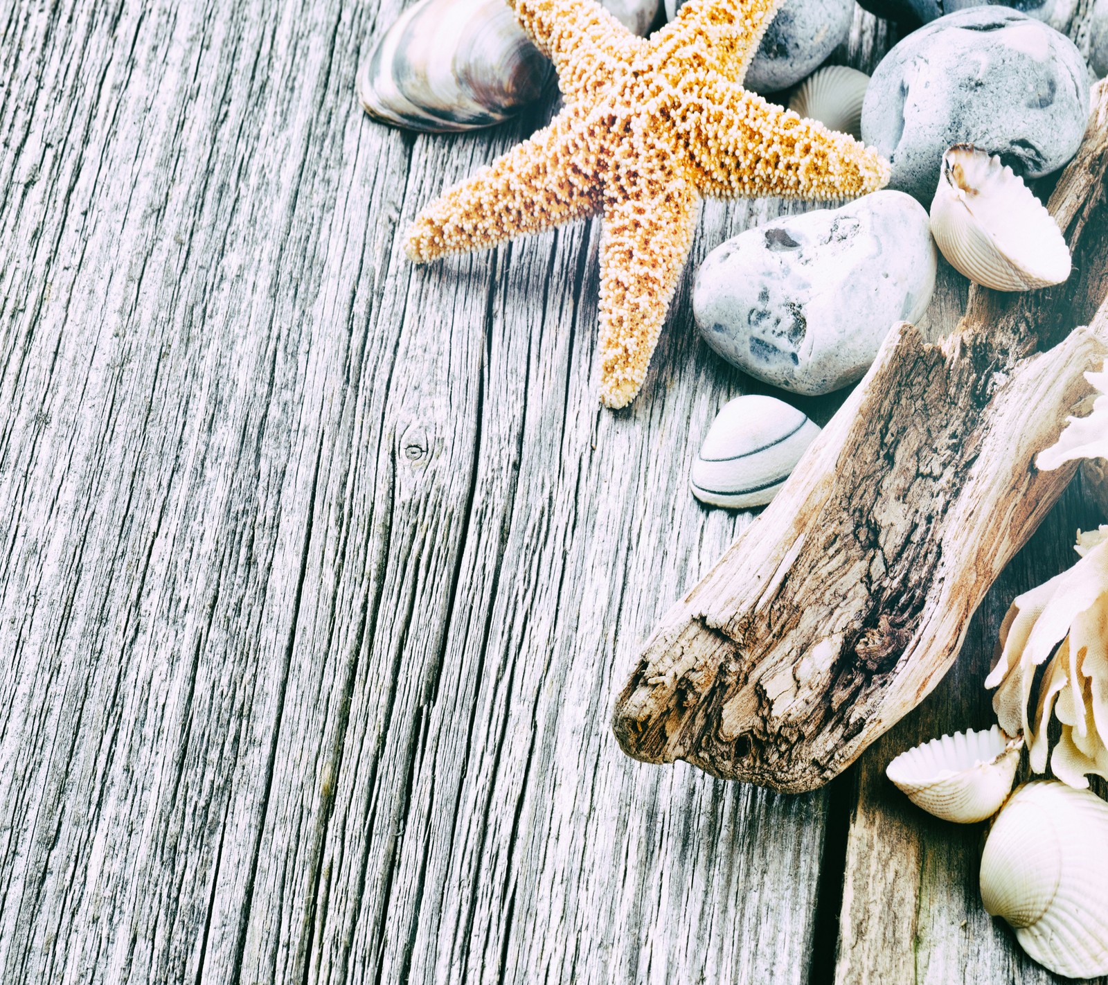 Hay una estrella de mar y conchas sobre una mesa de madera (decoración, verano)