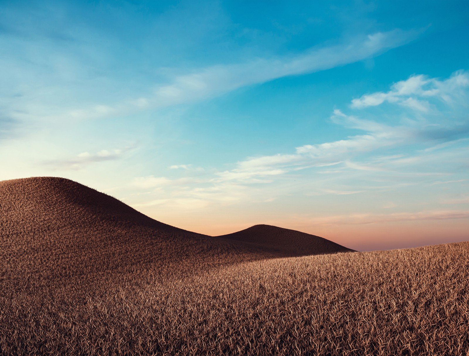 A view of a field of wheat with a blue sky in the background (dry fields, sunny day, summer, landscape, nature)