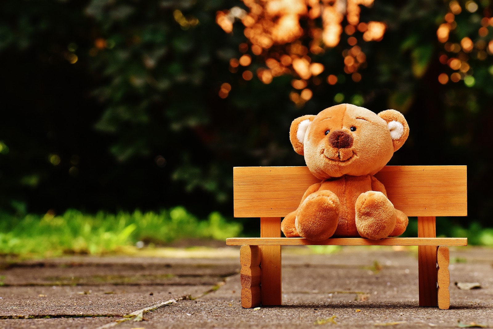 There is a teddy bear sitting on a wooden bench in the park (teddy bear, park bench, soft toy, wooden bench, evening)