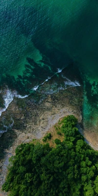 Végétation luxuriante rencontrant un paysage aquatique serein