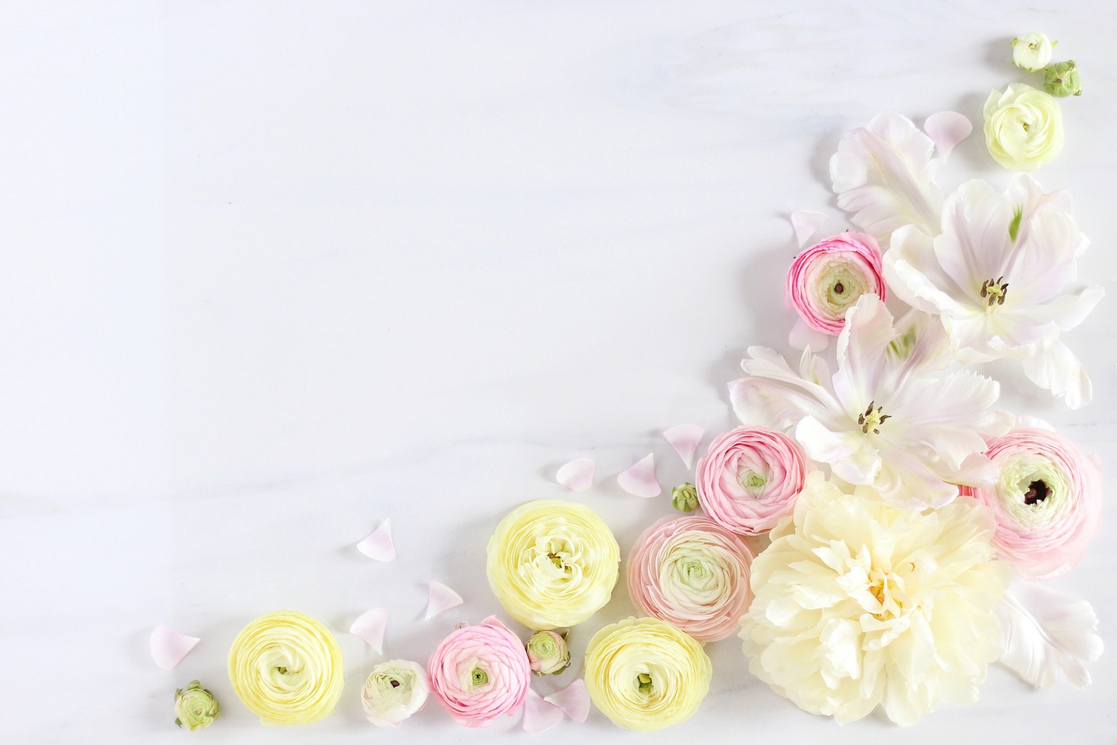 Flowers are arranged on a white surface with a white background (rose, bouquet, flower, artificial flower, pink)