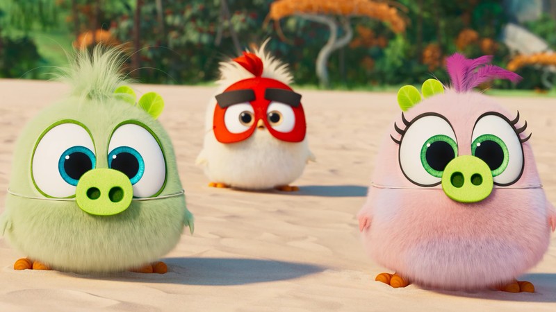 Разъяренные птицы стоят на песке с открытыми глазами (angry birds фильм 2, angry birds movie 2, зоэ, винсент, саманта)