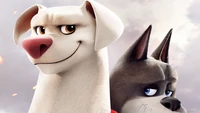 Krypto et Ace : Super-Animaux s'Unissent dans l'Aventure