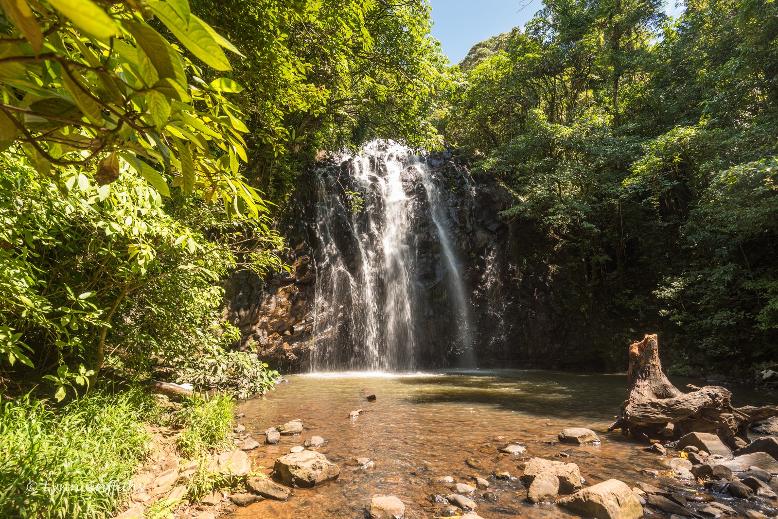 Ein wasserfall im dschungel mit felsen und bäumen (wasserfall, naturschutzgebiet, wasserlauf, natur, gewässer)