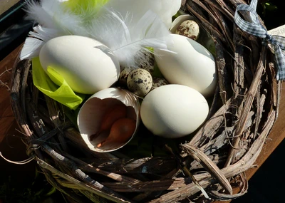 Nid de Pâques avec des œufs colorés et des plumes