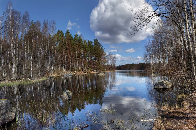 Деревья отражаются в воде озера, окруженного камнями (отражение, республика карелия, природный пейзаж, природа, вода)