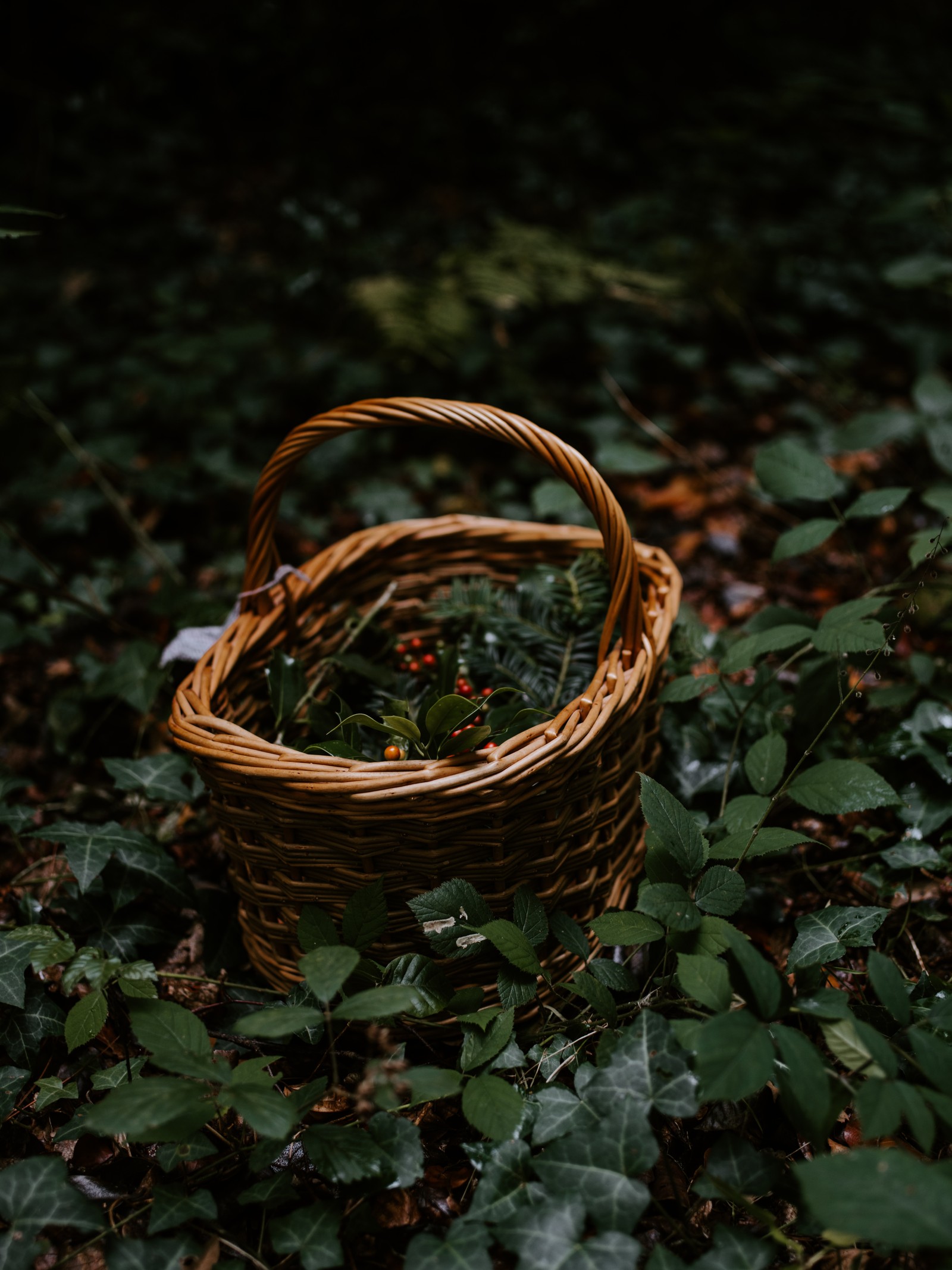 Hay una cesta con bayas en el suelo (hierba, pasto, día de navidad, metal, trenzado)