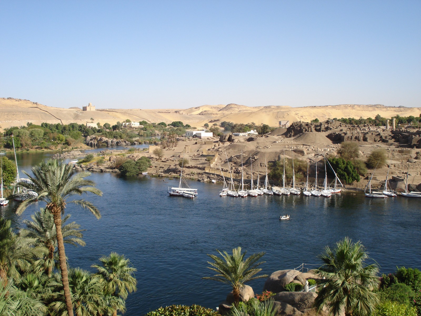 Boote sind am fluss in der wüste angelegt (see, luxor, assuan, baum, wadi)