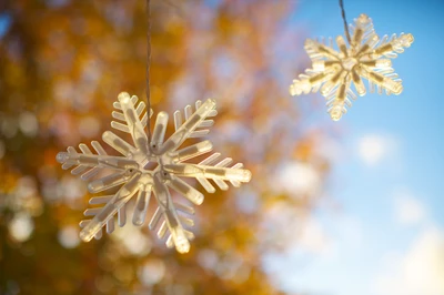 flocon de neige, ensoleillement, brindille, lumières de noël, printemps