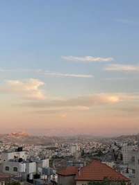 Panoramic Urban Skyline Over Suburban Neighborhood at Sunset