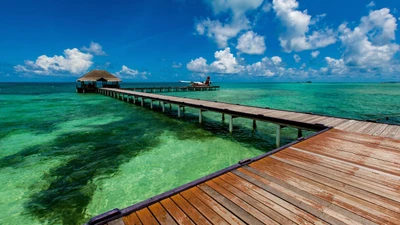 Tropical Pier Overlooking an Azure Lagoon Under a Bright Sky