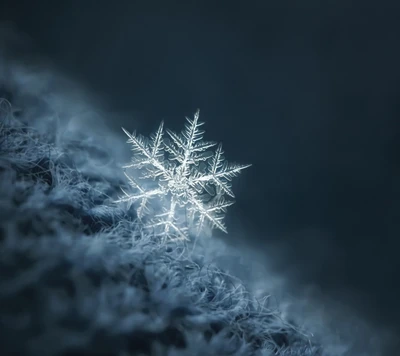 Floco de neve delicado em uma superfície aconchegante no frio do inverno de Belgrado