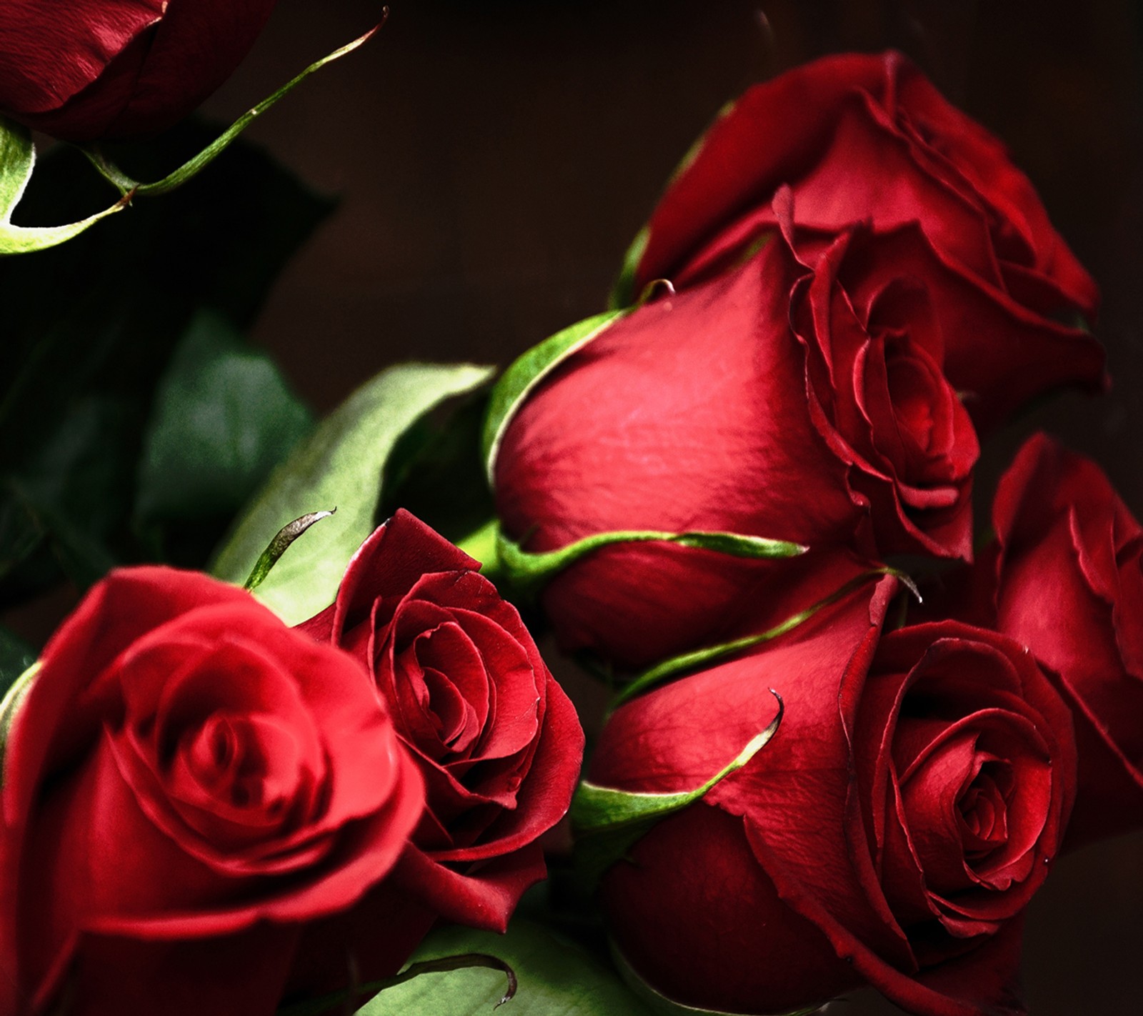 There are a bunch of red roses that are in a vase (red roses, wallpaper)