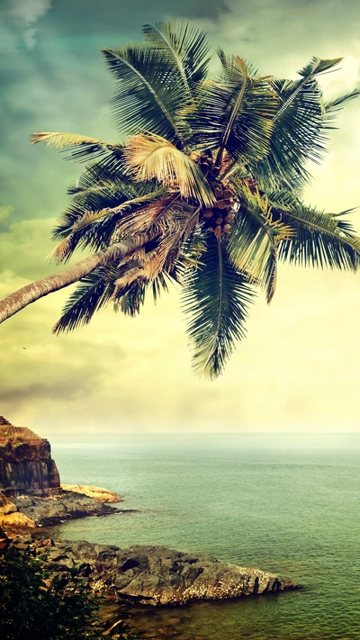 Retro Palm Tree Overlooking the Ocean