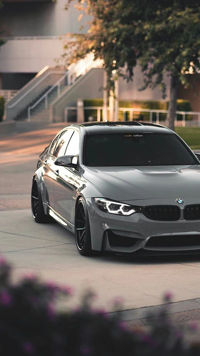 coche, bmw, f80, gris, m3