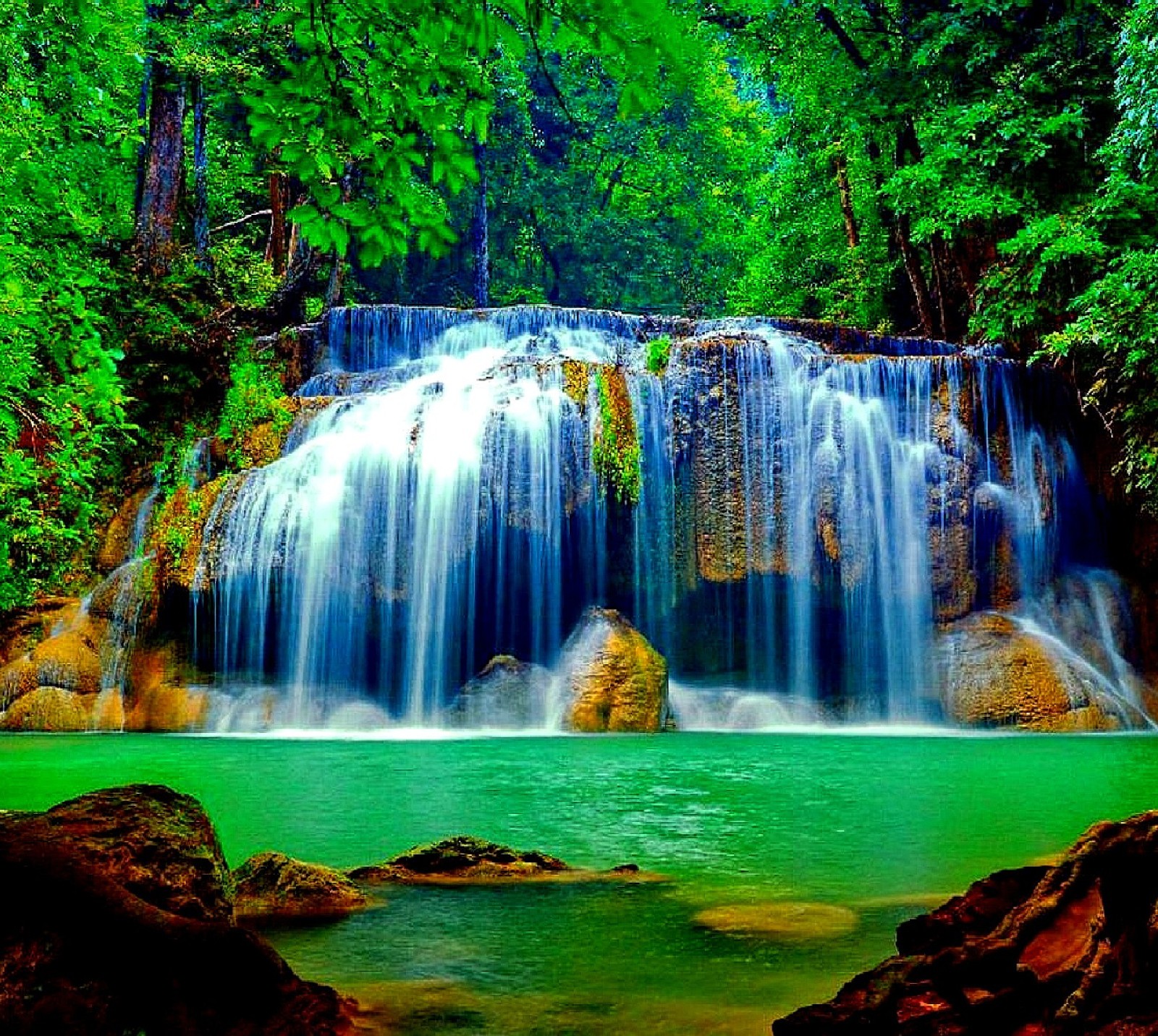 Uma cachoeira no meio da floresta com água verde (natureza)