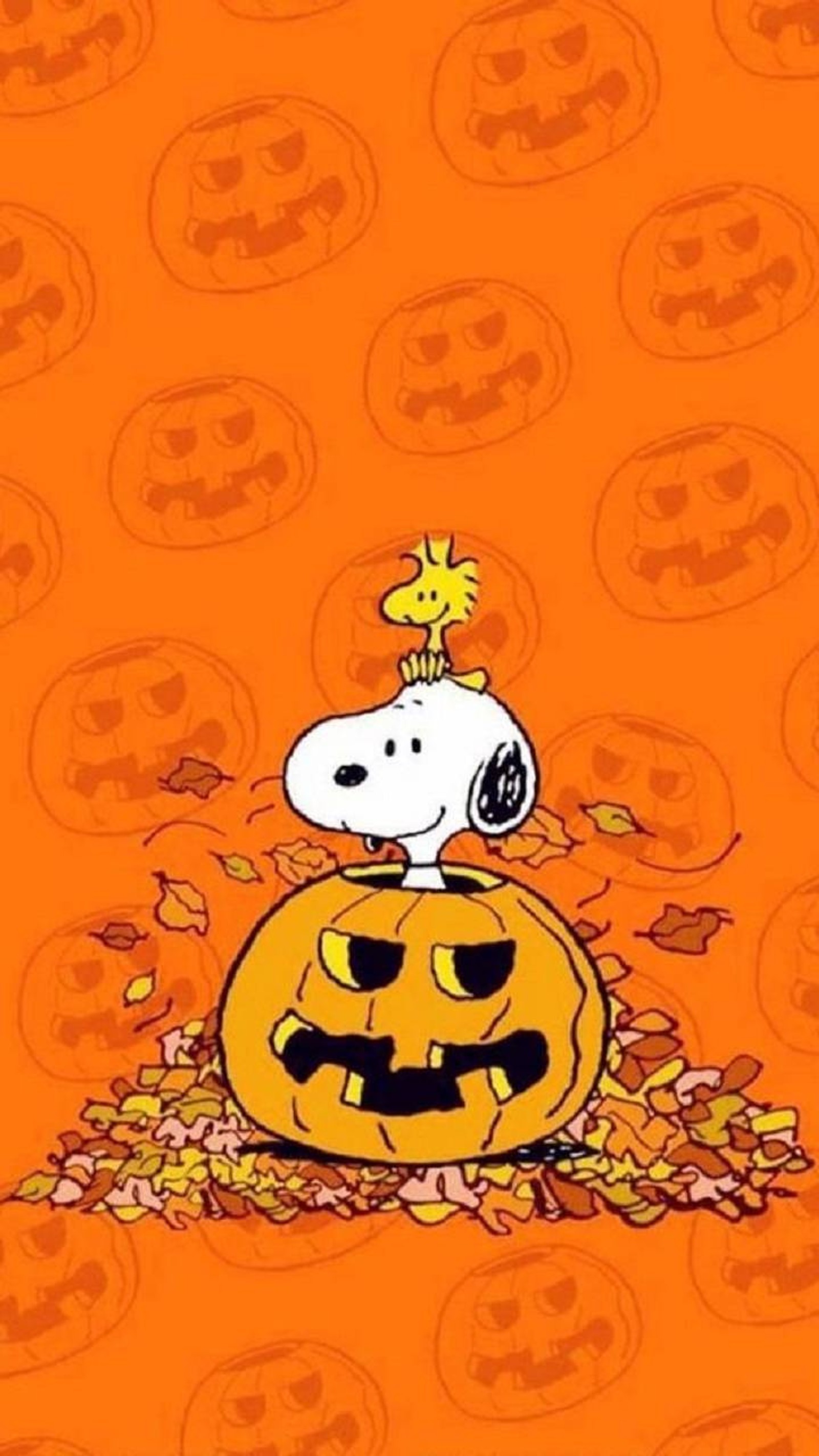 Un snoopy de dibujos animados sentado sobre una calabaza (halloween, caricatura, temas, bruja, lindo)