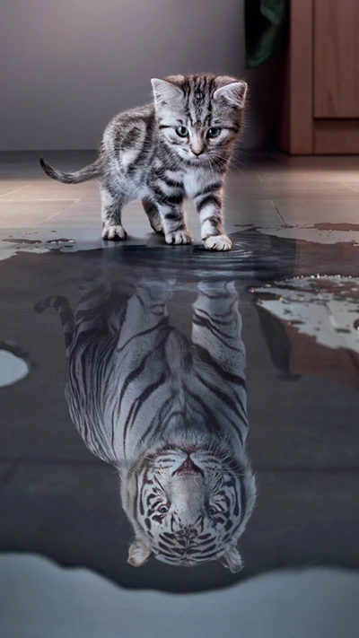 Gatinho curioso com um reflexo majestoso de tigre