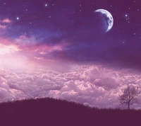 Paysage violet serein sous un ciel étoilé éclairé par la lune