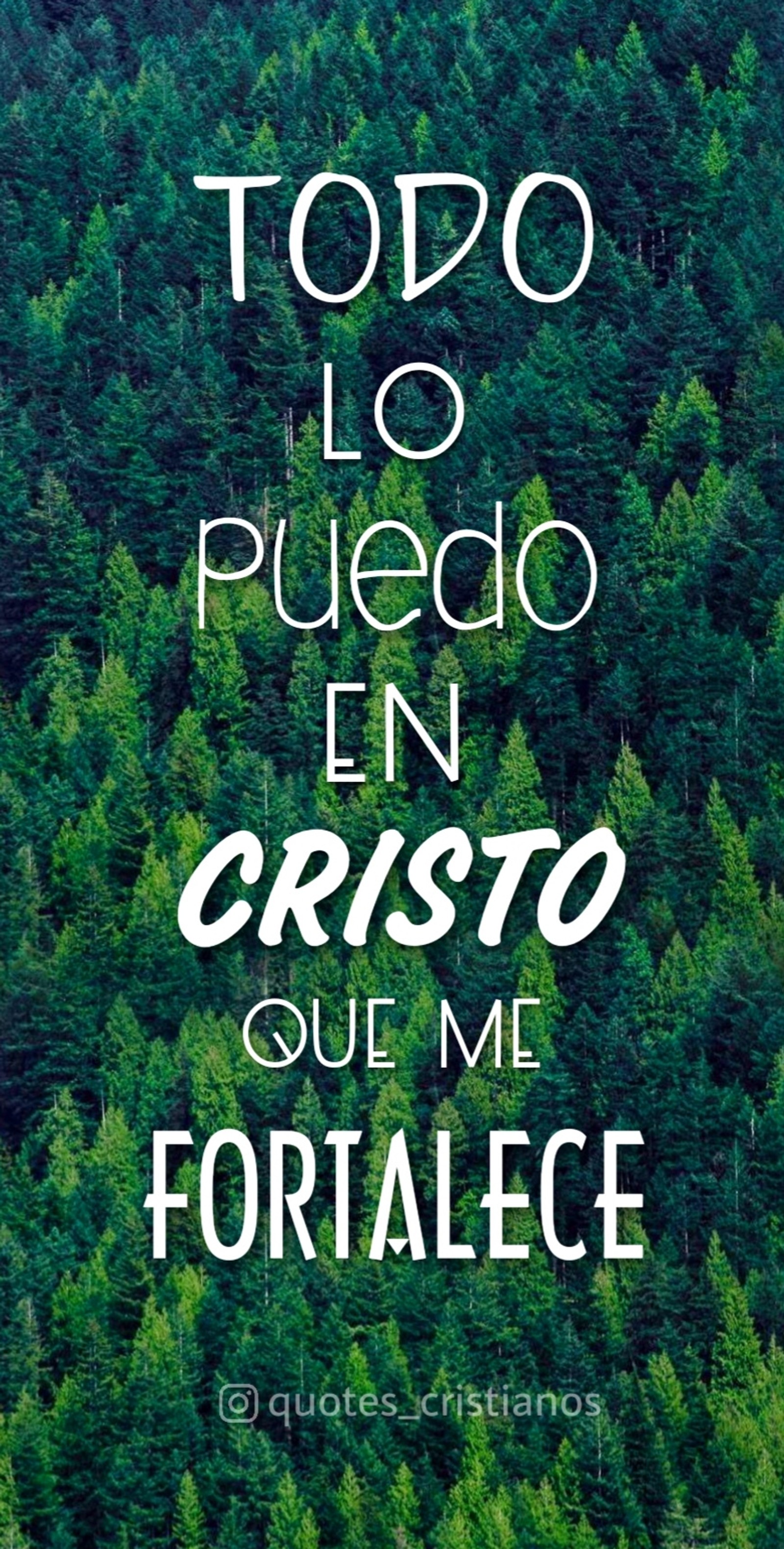 Una imagen de un bosque con una cita que dice que todo lo puedo en cristo (biblia, cristo, dios, frases, jesús)