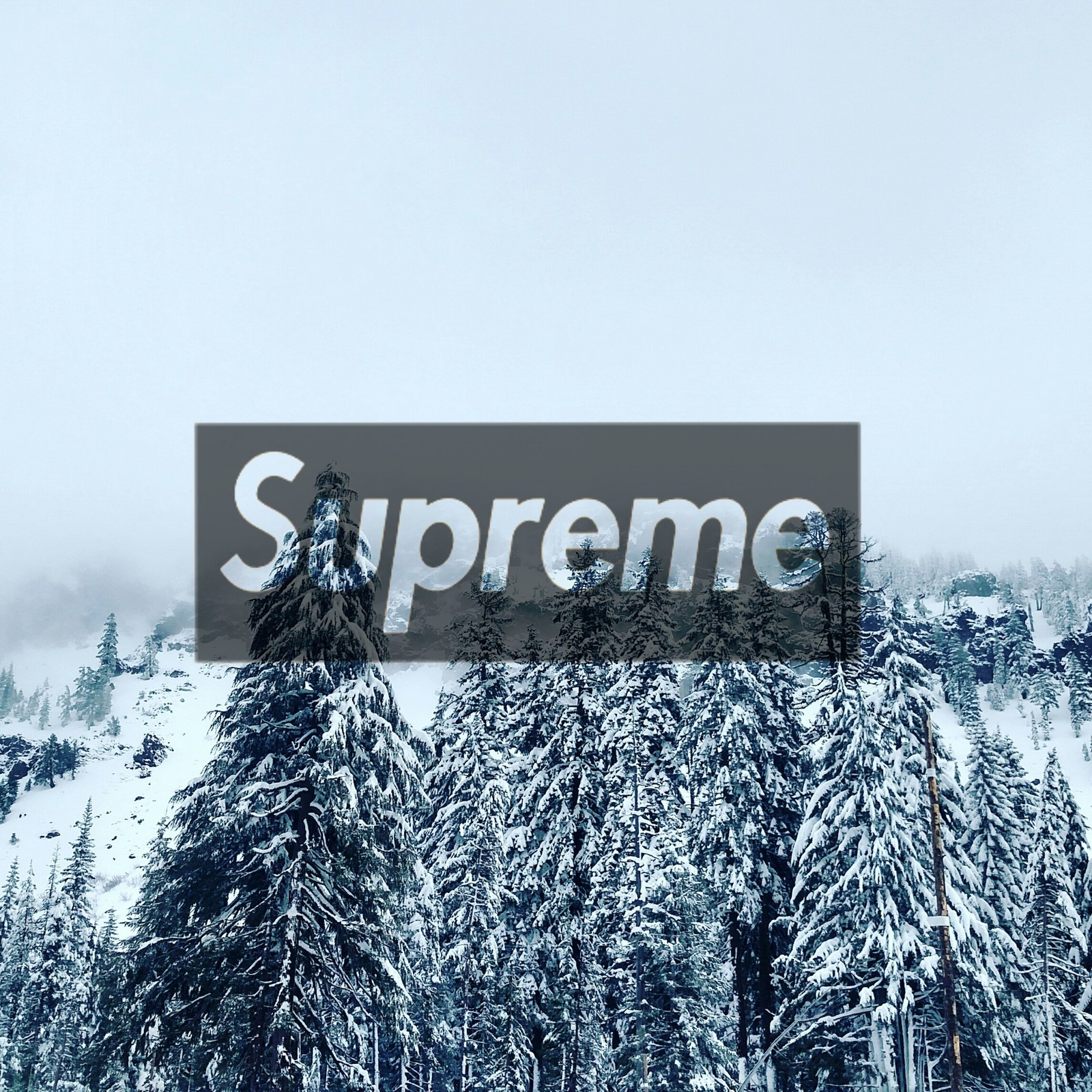 Logo da supreme em uma montanha nevada (neve, supreme)