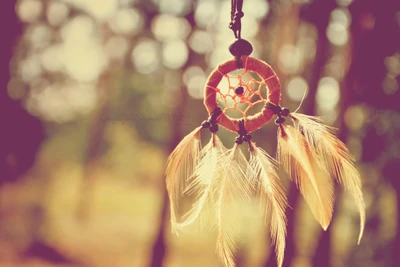 dreamcatcher, pretty