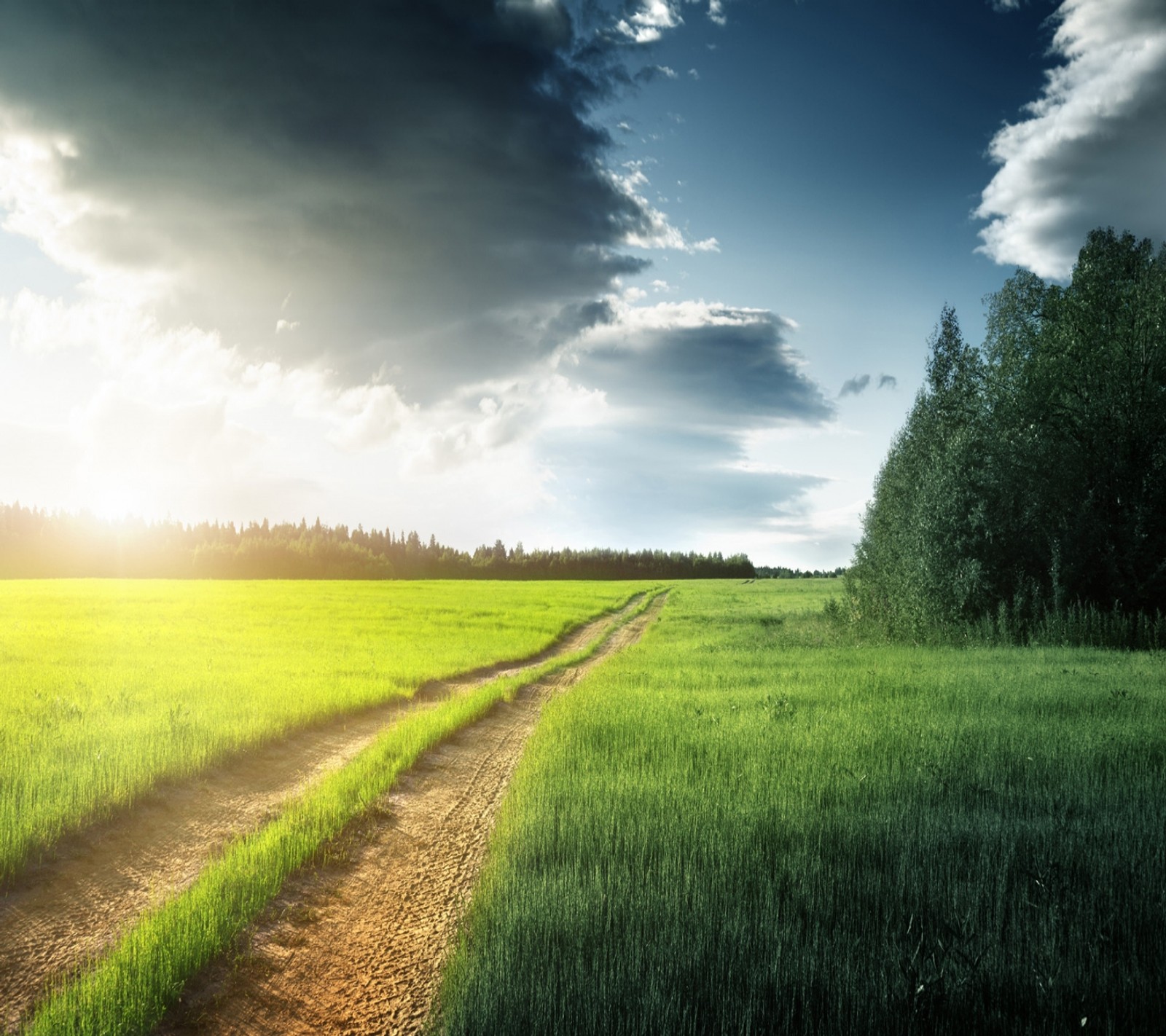 Eine dekorierte ansicht eines schotterweges in einem feld mit himmel im hintergrund (feld, hd, landschaft, natur, straße)