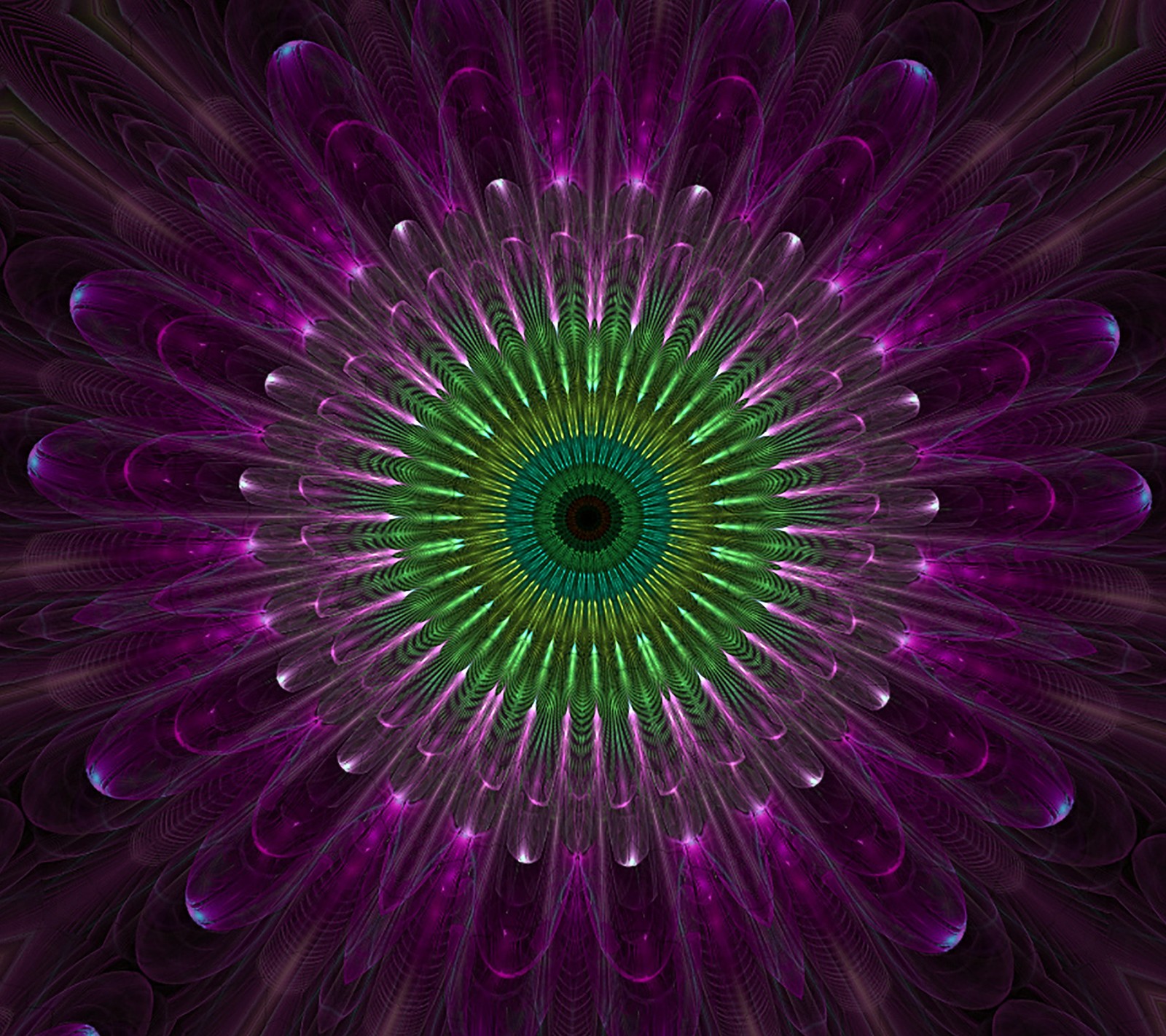 A close up of a purple and green flower with a green center (abstract, black, green, purple)