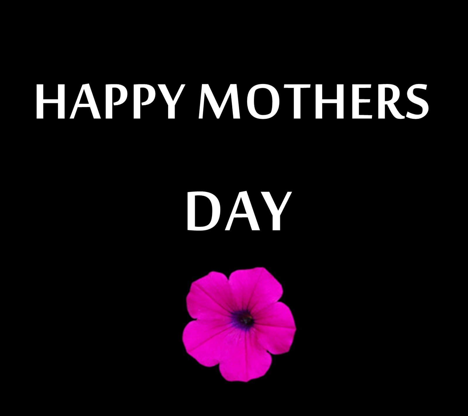 Happy mothers day card with a pink flower on a black background (happy, mothers day)