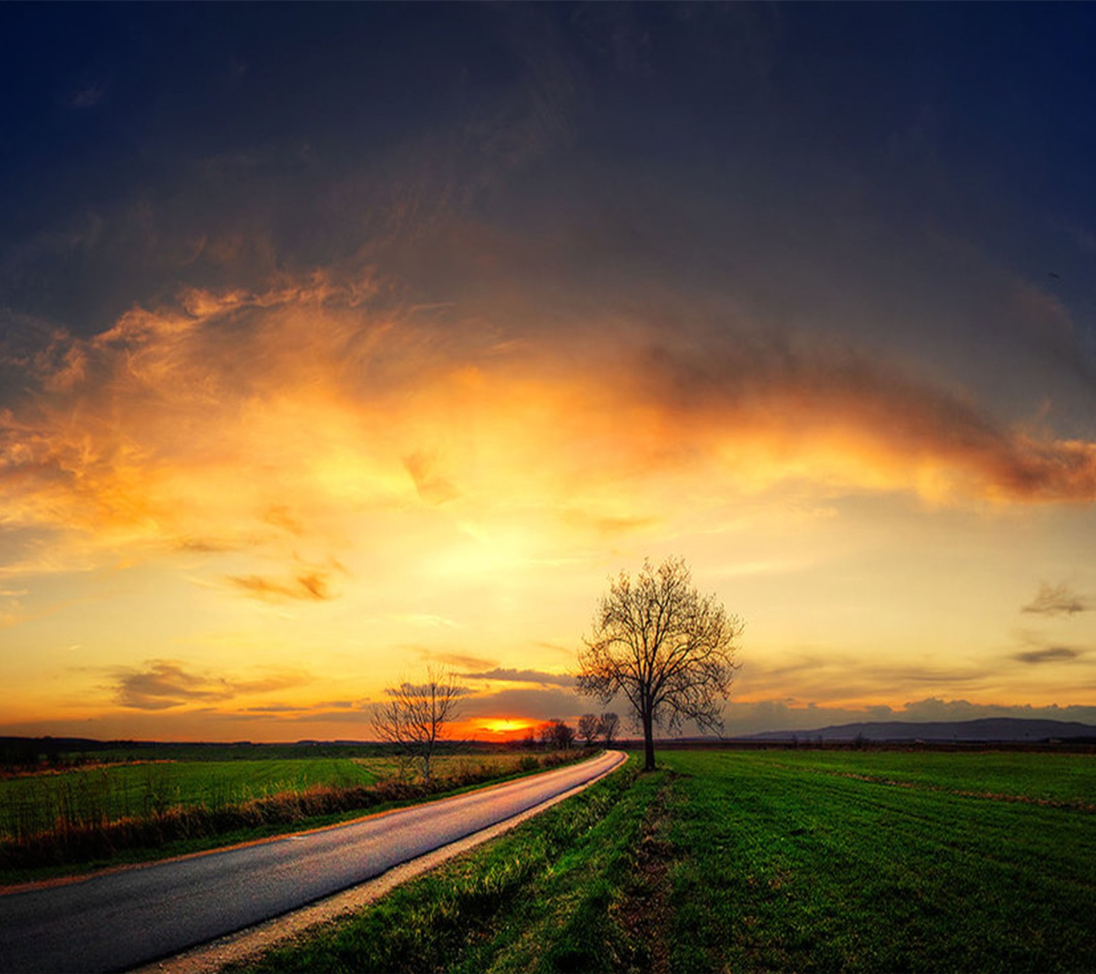 Pôr do sol sobre uma estrada rural com uma árvore solitária ao lado (longo, estrada)