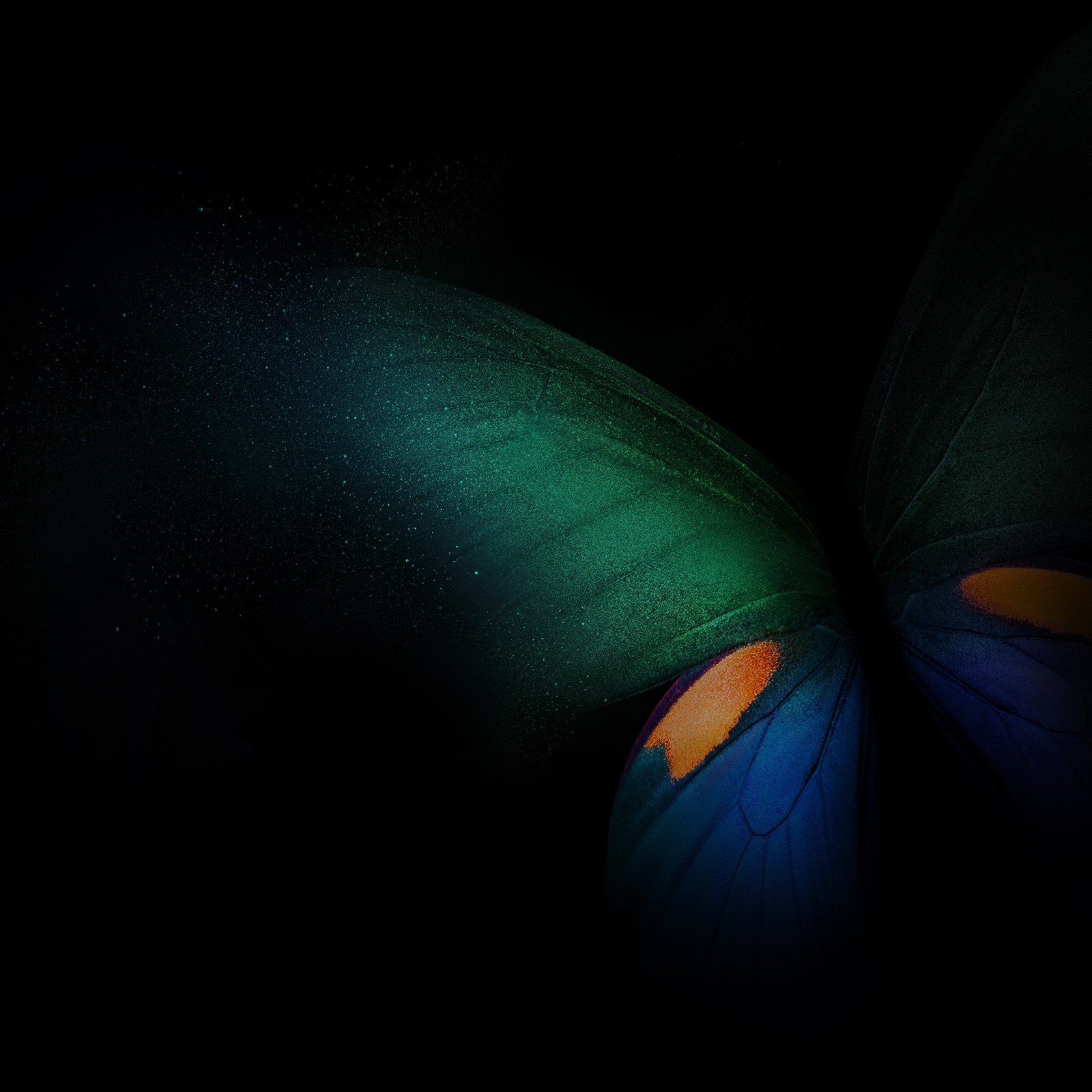 Mariposa de colores brillantes en la oscuridad sobre un fondo negro (s21, sam, samsung, sung)