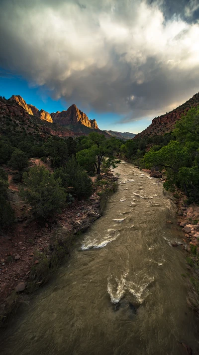 национальный парк зайон, zion national park, облако, растение, гора